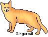 Gingertail.png