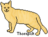 ThornpeltPixel1.png