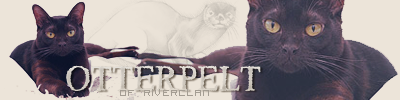Otterpelt-banner.png