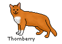 Thornberry-Pixel.png