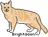 Brightdawn.png
