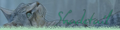 Shadetail-Banner.png