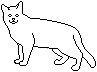 Moggy - Shorthair.png