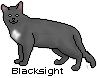Blacksight-Pixel.png