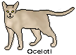 Ocelotl-Pixel.png
