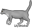 Lilywhisker-Pixel.png