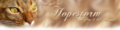 Hopestorm-Banner.png